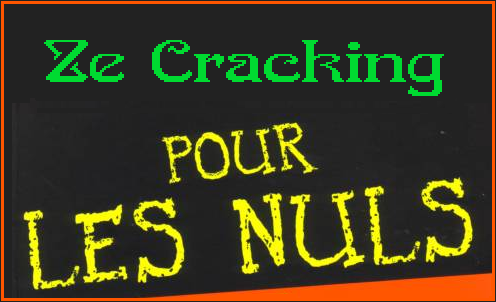 Pour les nuls