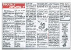 Bidouille Grenouille